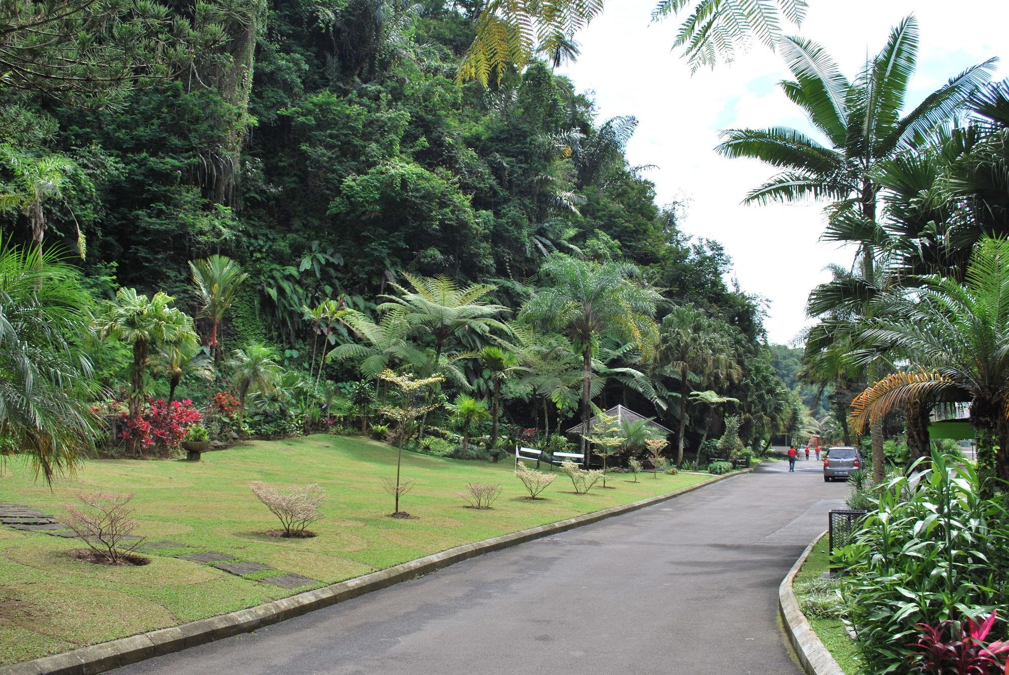 Zuri Resort Cipanas Puncak Buitenkant foto